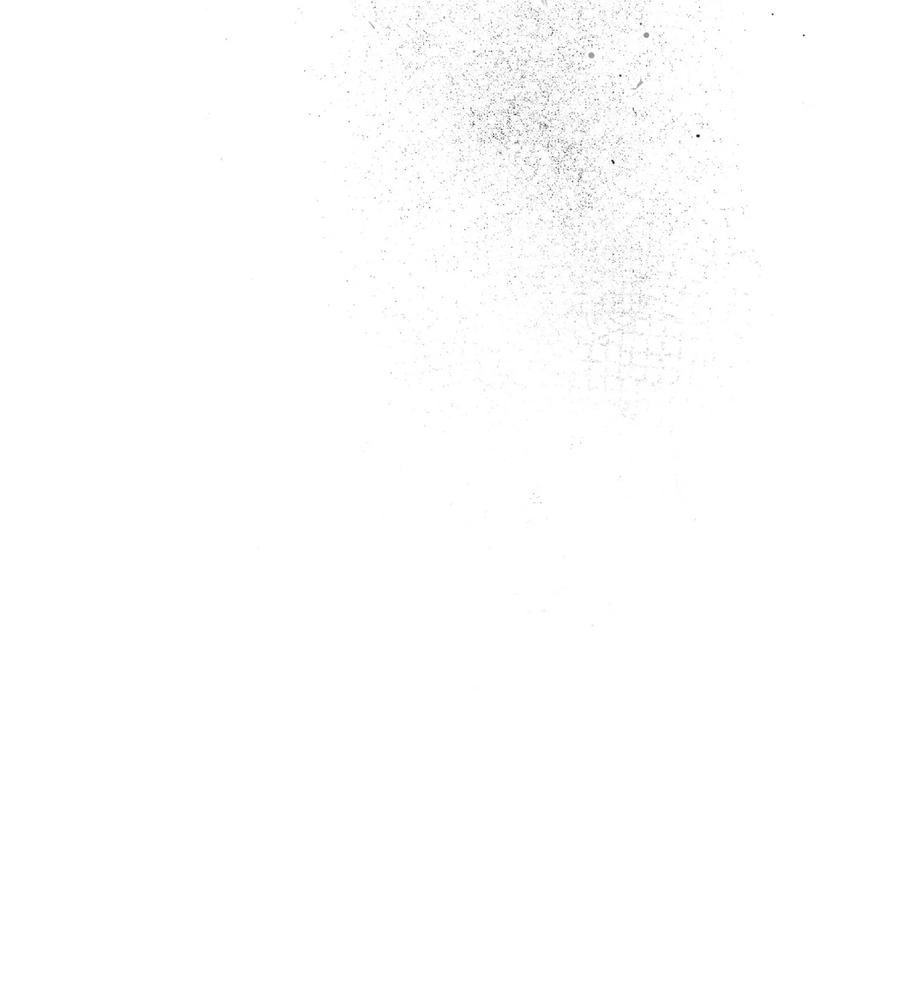 81.jpg