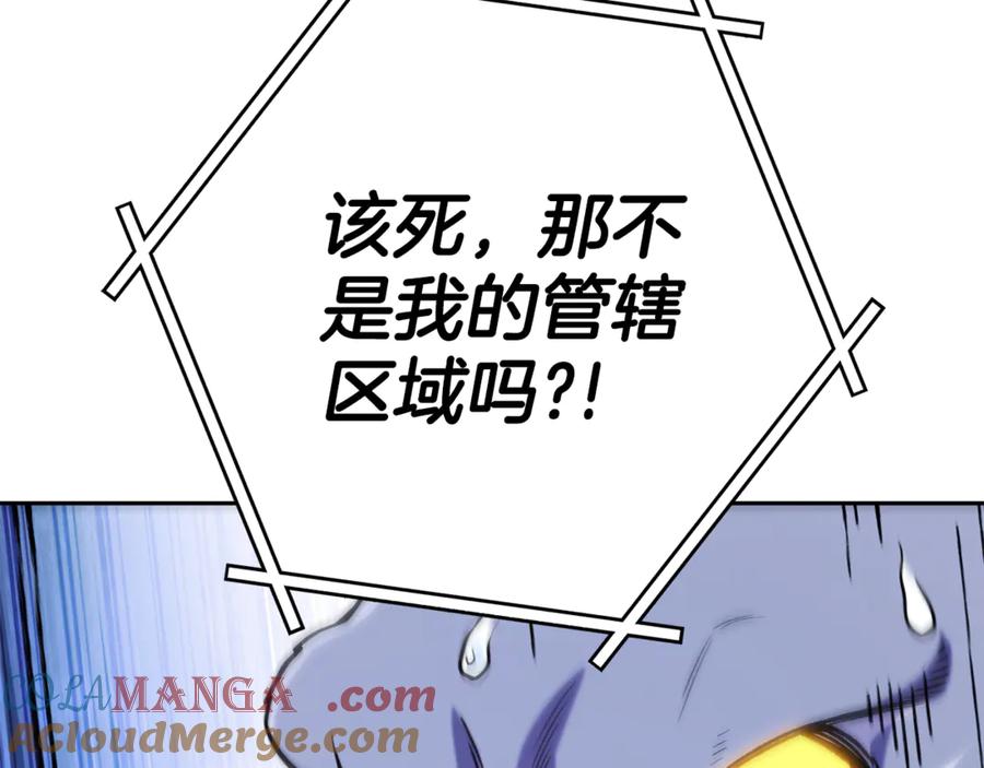277.jpg