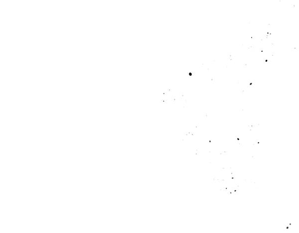 144.jpg