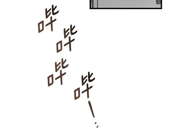 156.jpg