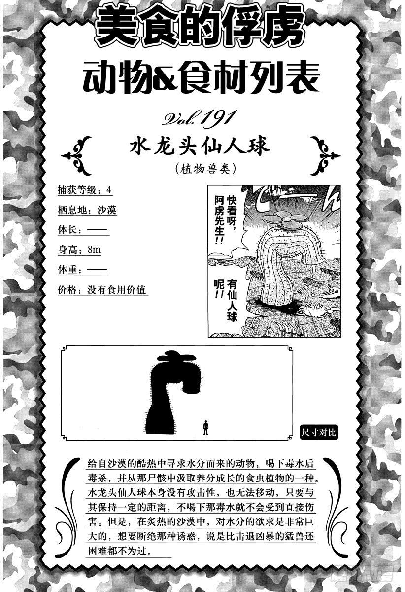 19.jpg