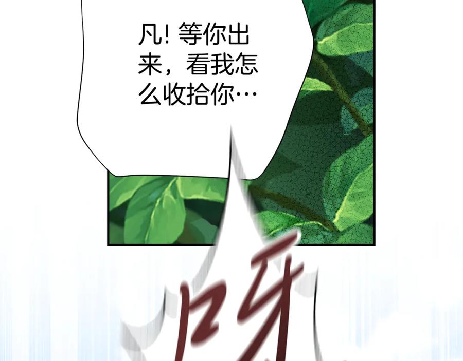 206.jpg