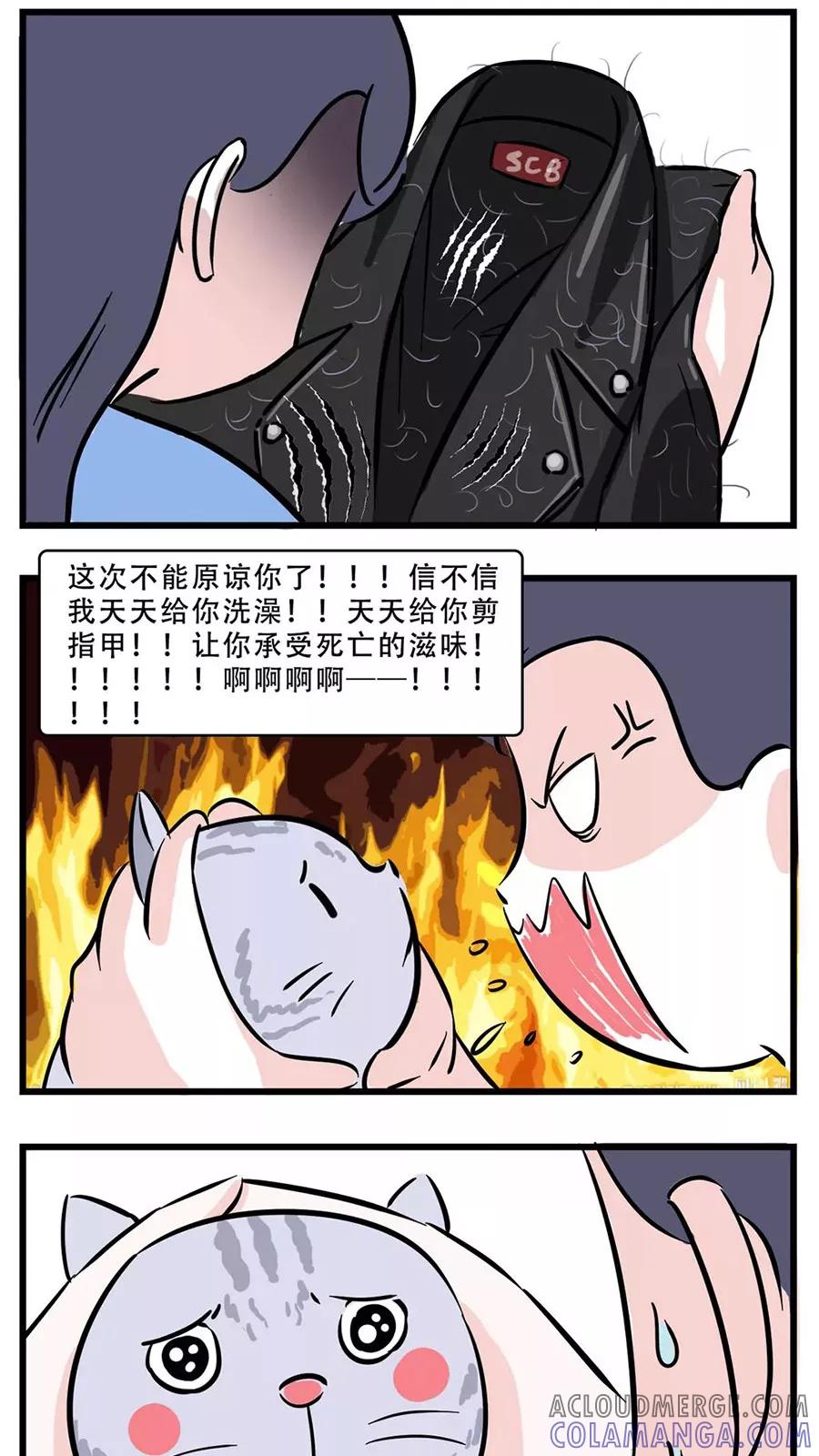 第54话-素菜包-金姨（第6张）