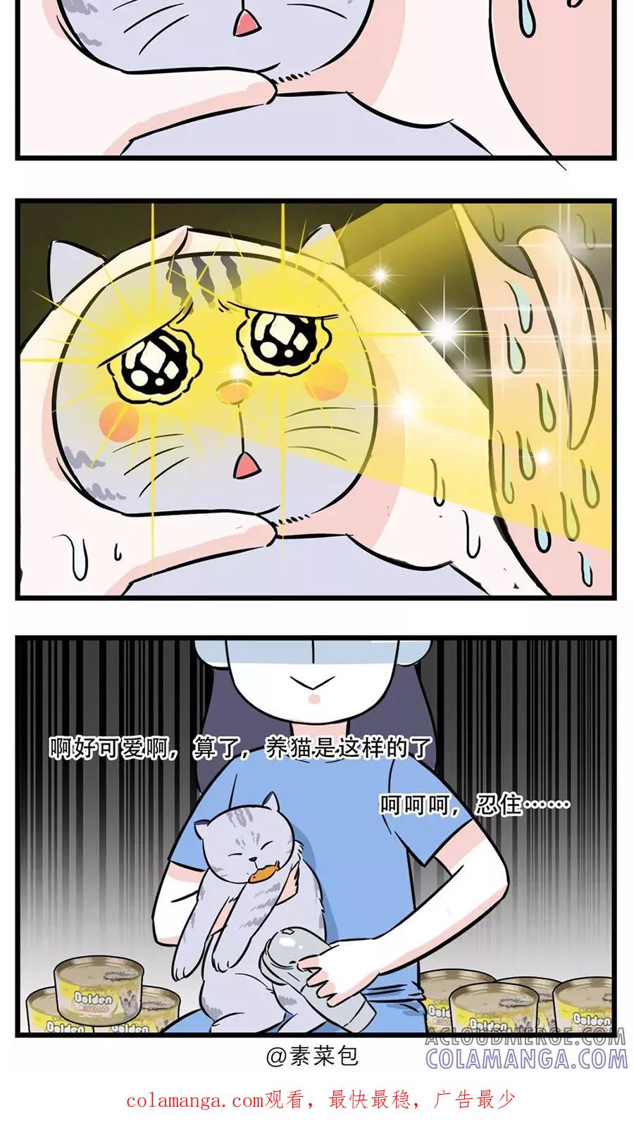 第54话-素菜包-金姨（第7张）
