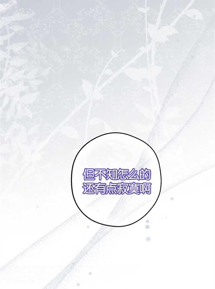 138.jpg