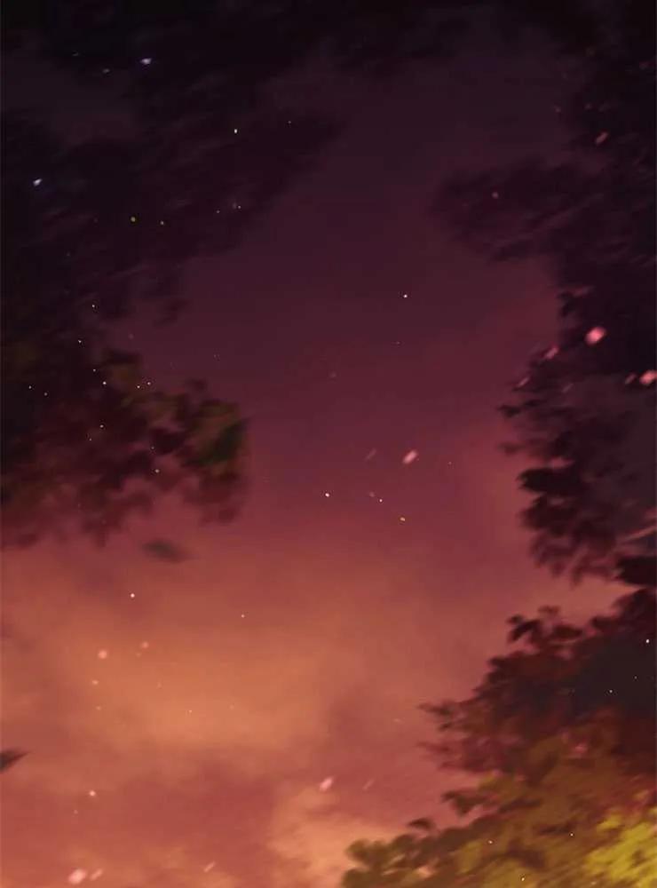 88.jpg