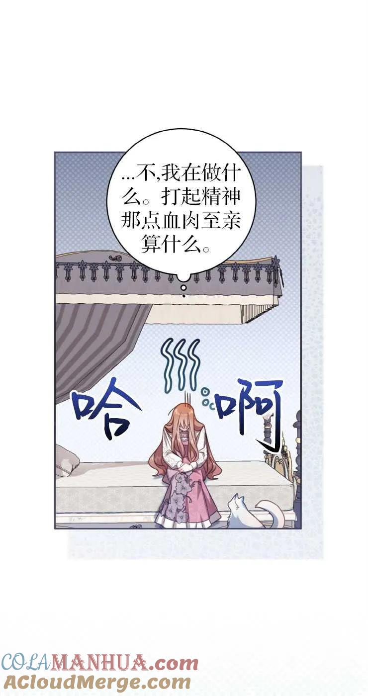 49.jpg