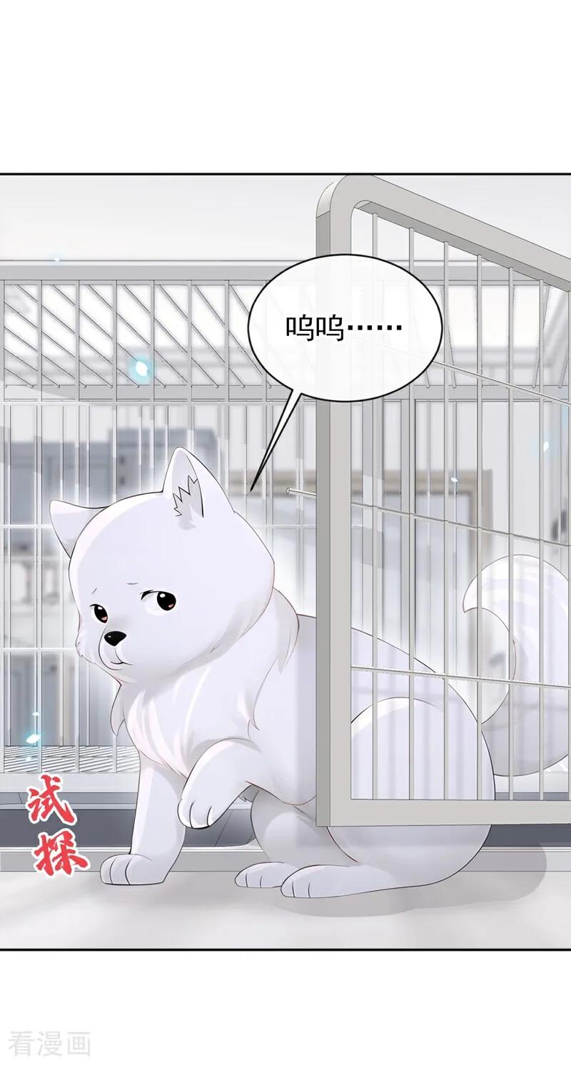 第115话叫我宝宝-快穿：宿主她一心求死-iCiyuan动漫（第2张）