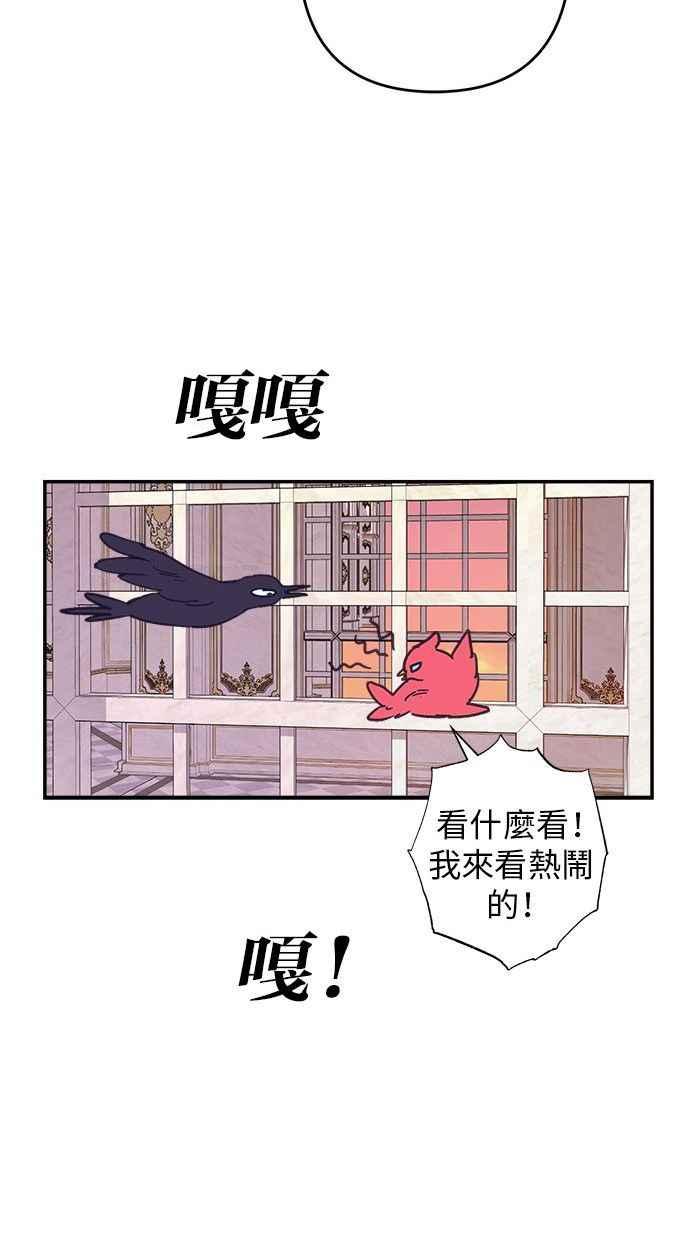 74.jpg