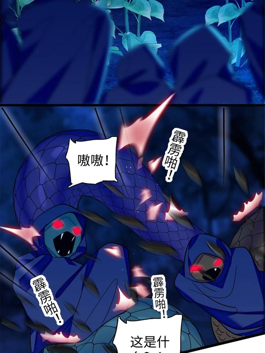 25.jpg