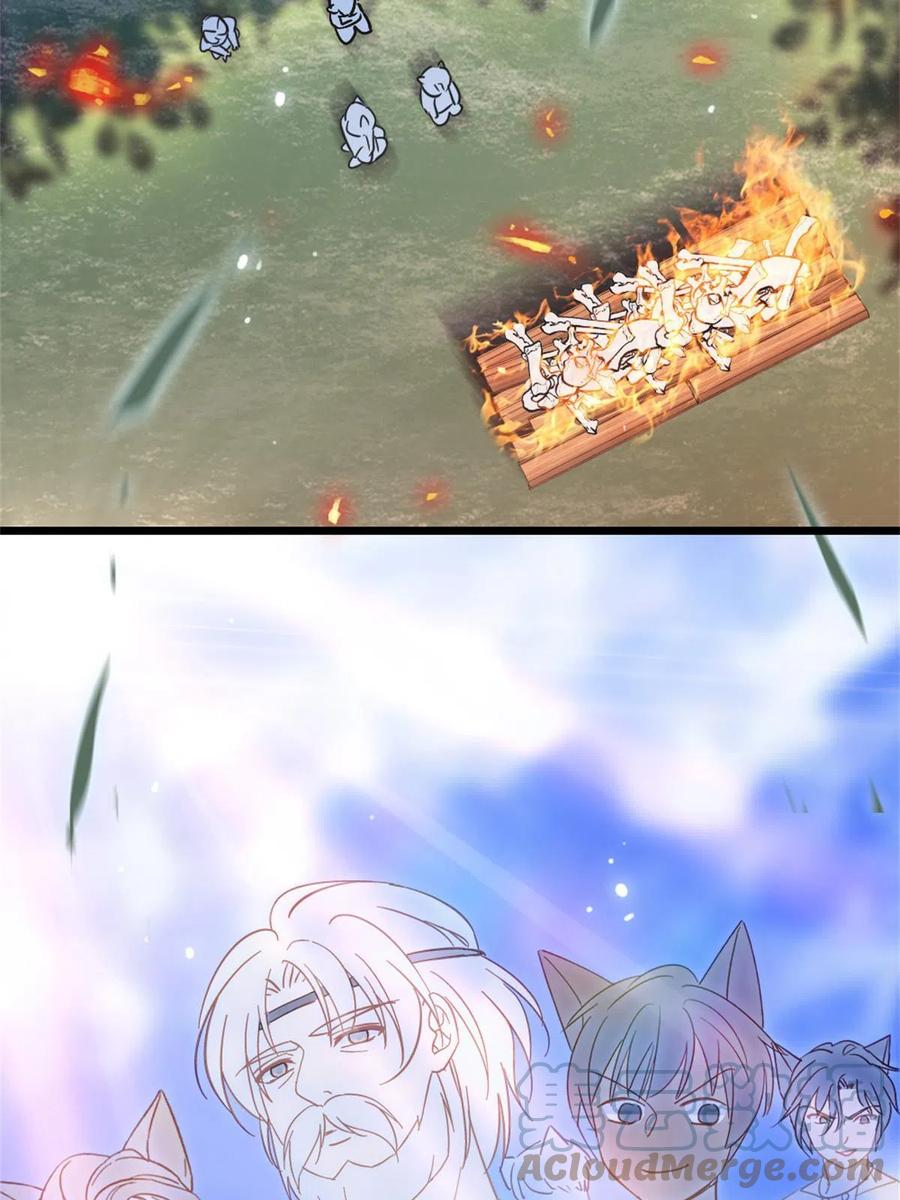 43.jpg