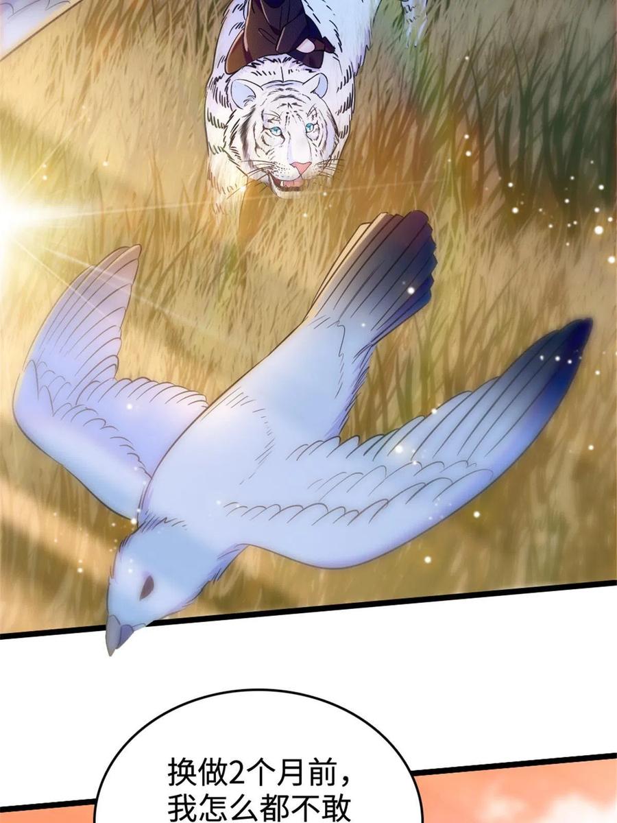 24.jpg