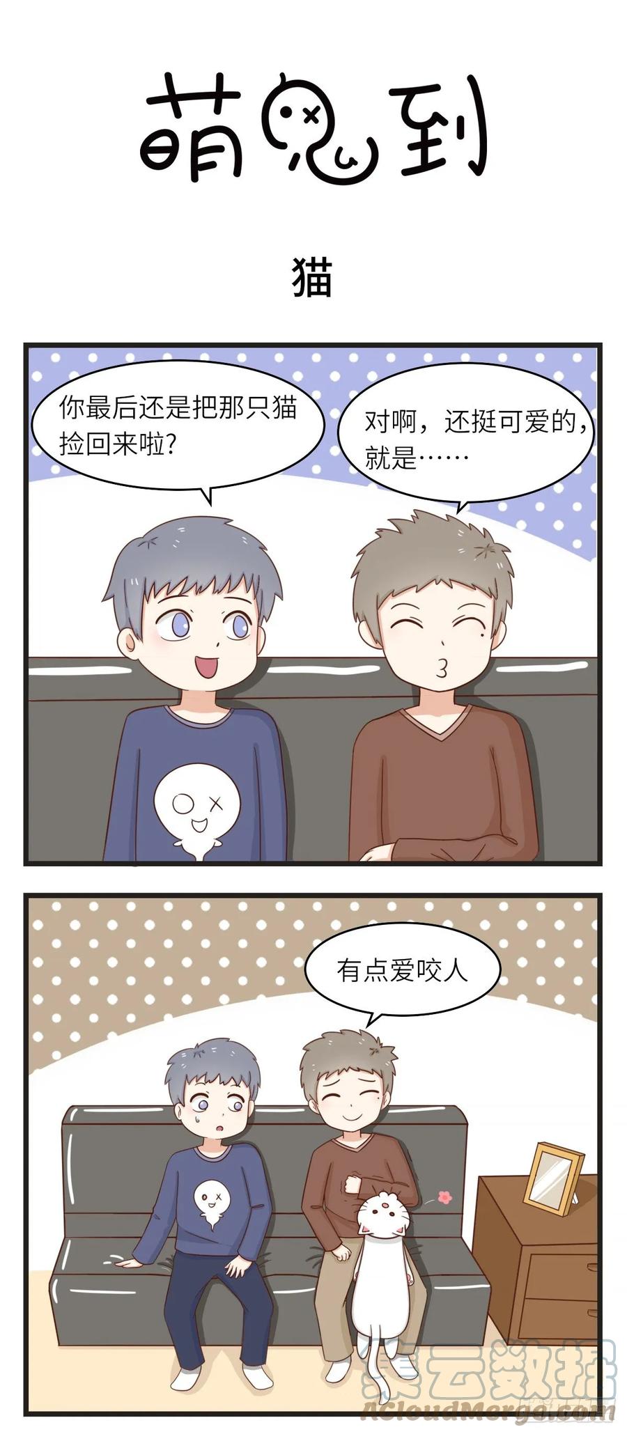 第31话猫-萌鬼到-赛客斯文化（第1张）