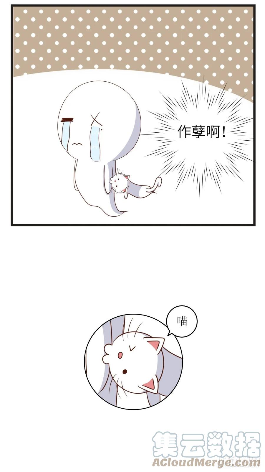 第31话猫-萌鬼到-赛客斯文化（第4张）