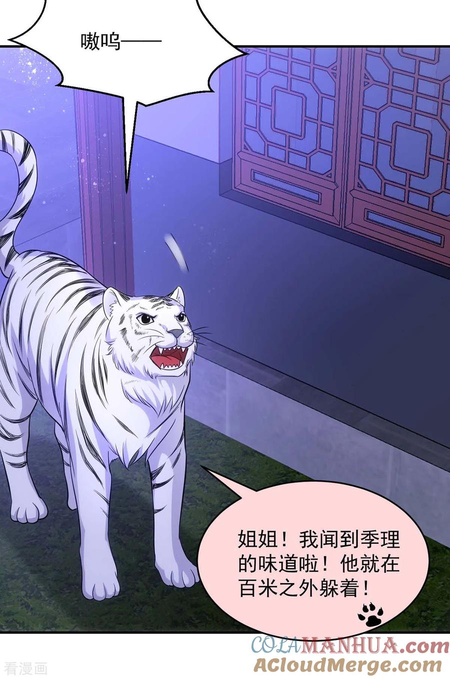 第81话白轻音，别输了-萌虎重生：将军大人要抱抱-掌阅文化（第5张）