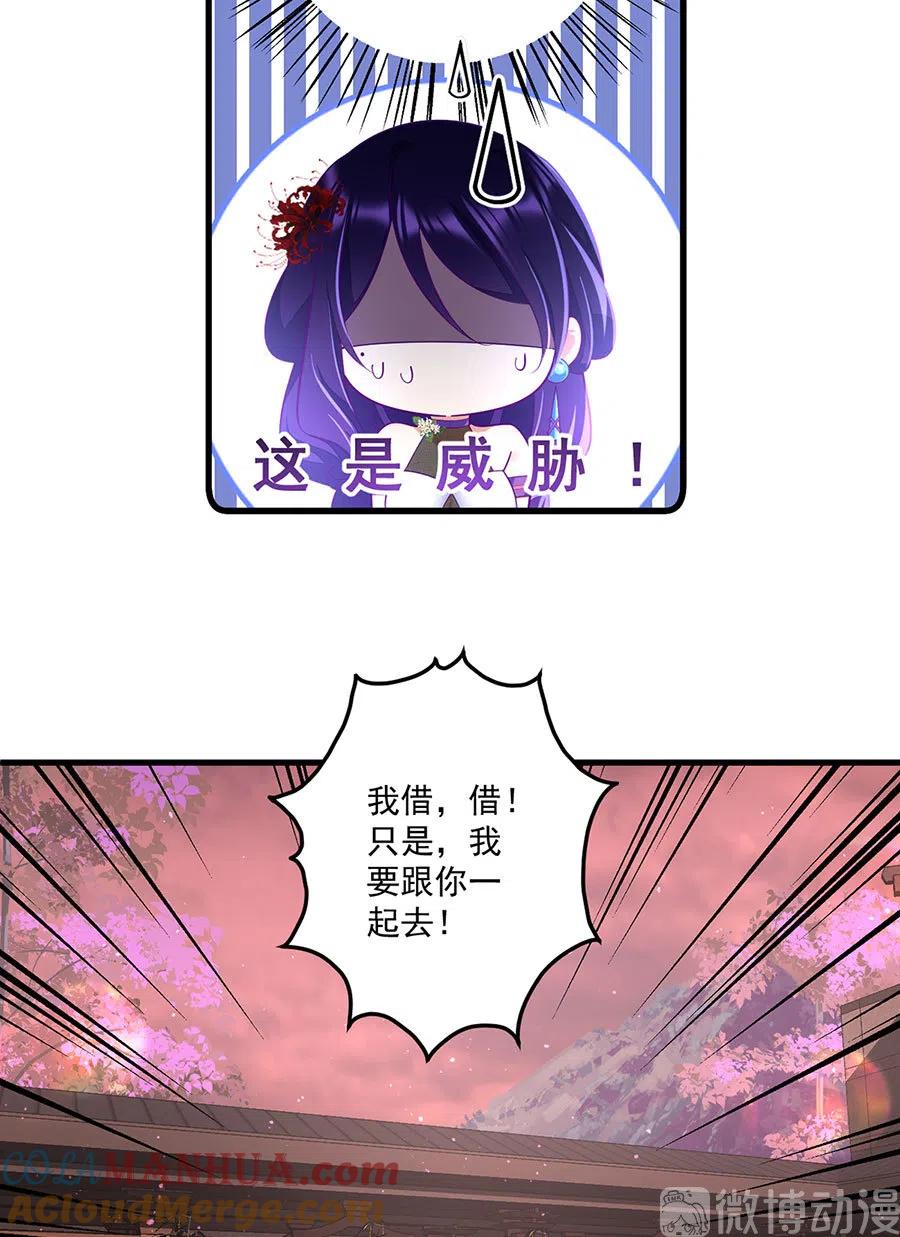 29.jpg
