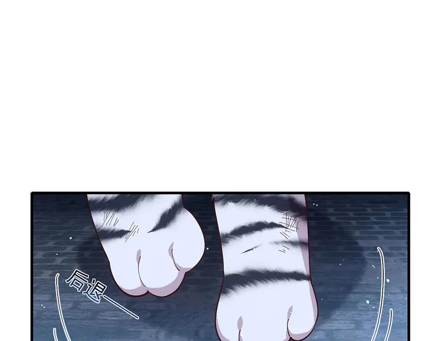 71.jpg