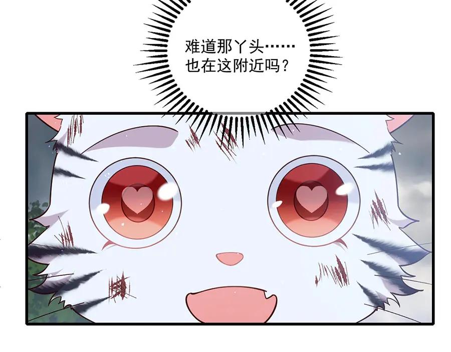 39.jpg