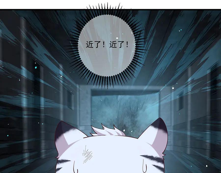 102.jpg
