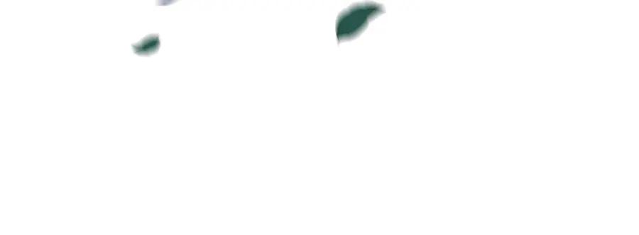 94.jpg