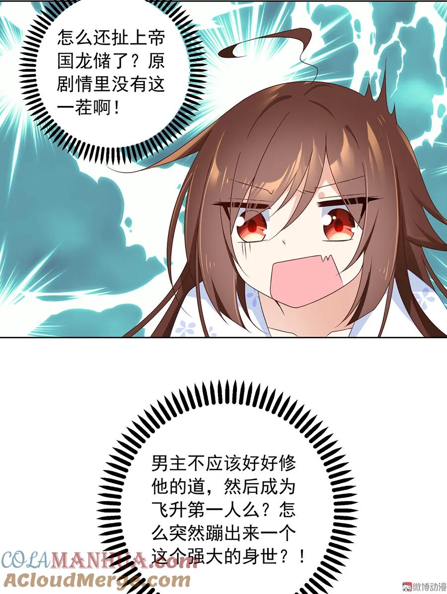 29.jpg