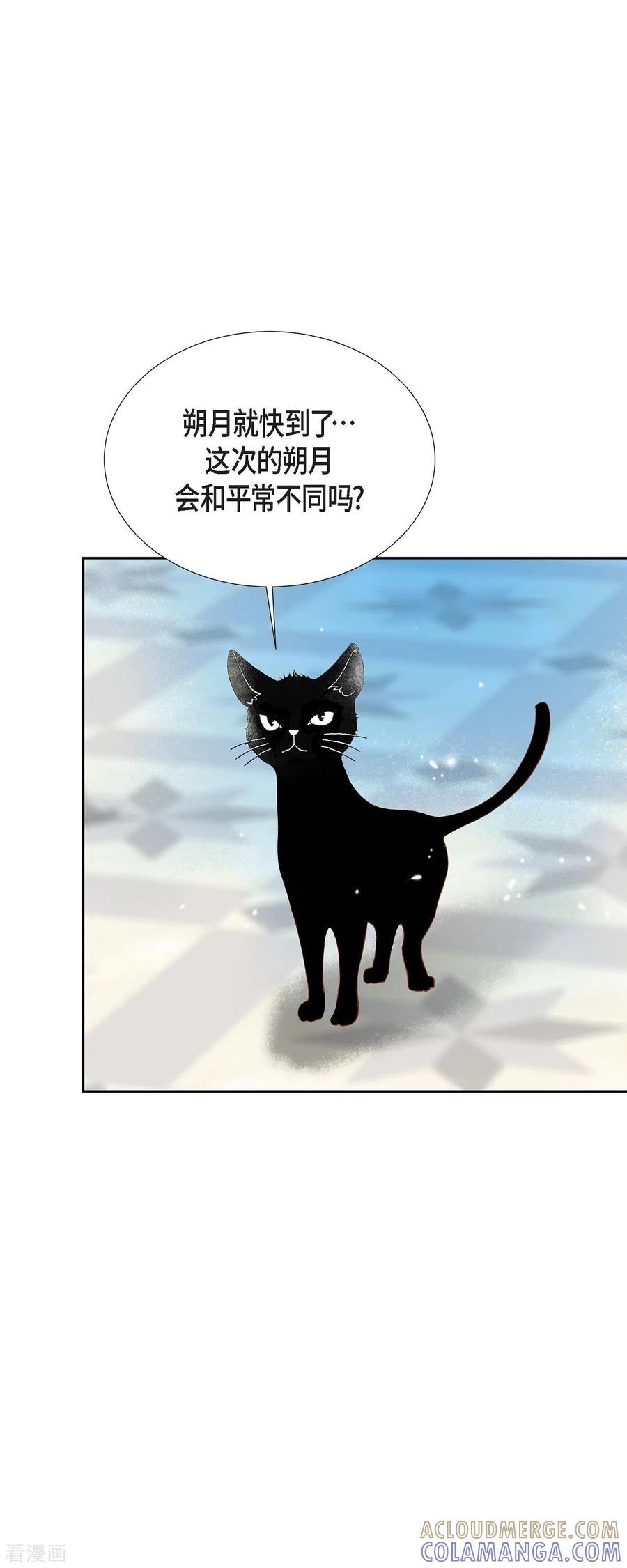 第44话玫瑰的主人！-美女是野兽 k-EcomixMedia（第28张）