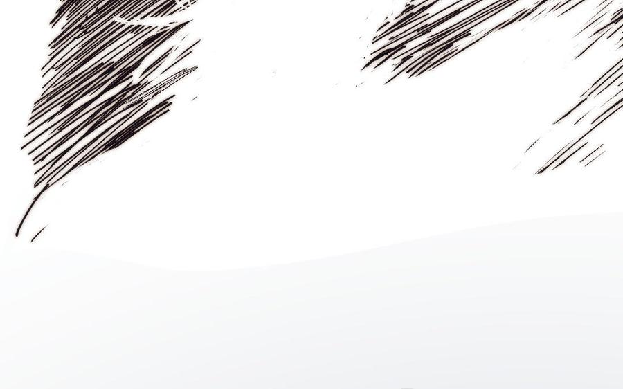 96.jpg