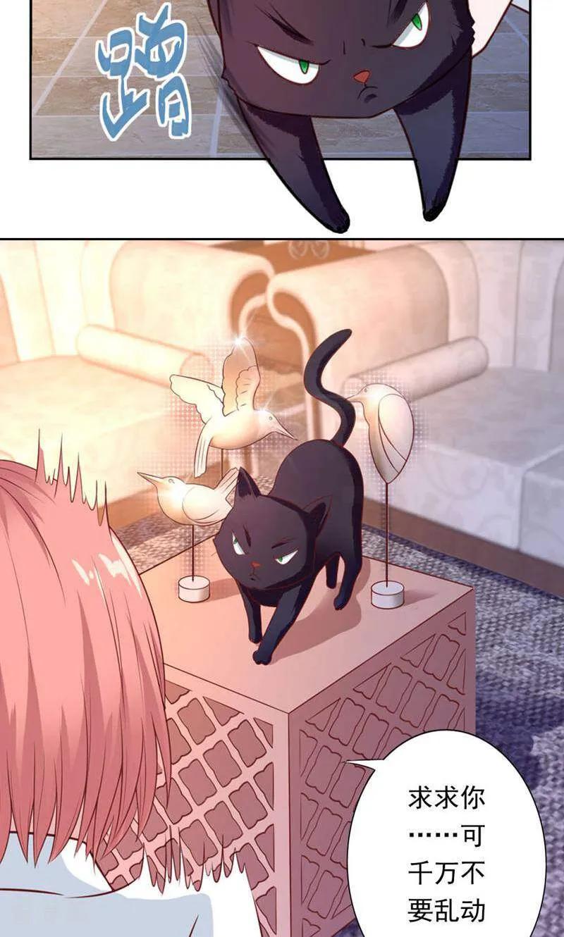 第27话-以猫的名义爱上你-咪咕数媒（第4张）