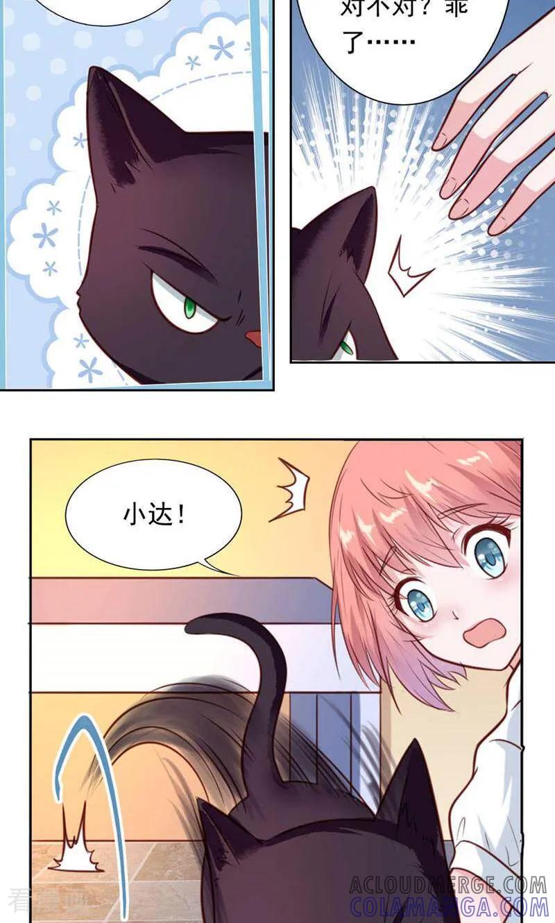 第27话-以猫的名义爱上你-咪咕数媒（第3张）