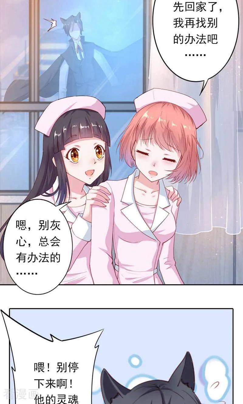 第29话-以猫的名义爱上你-咪咕数媒（第6张）