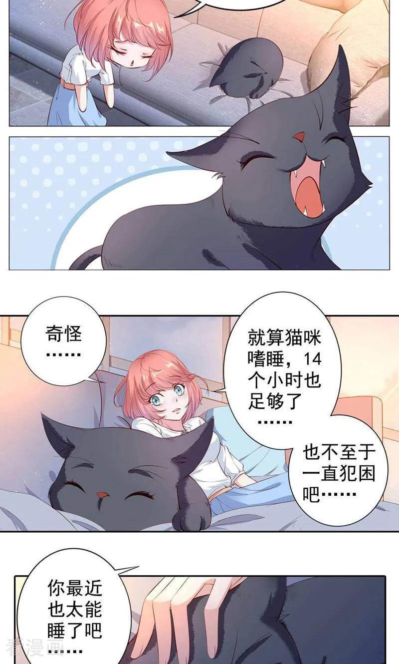 第31话-以猫的名义爱上你-咪咕数媒（第18张）