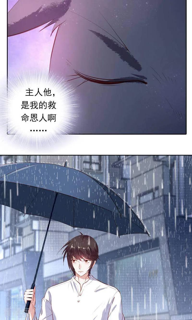 第32话-以猫的名义爱上你-咪咕数媒（第2张）