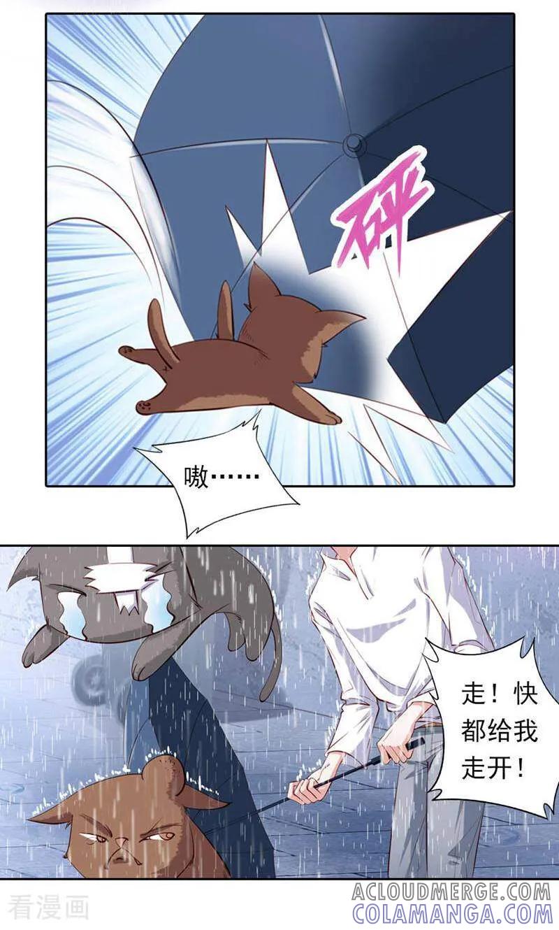 第32话-以猫的名义爱上你-咪咕数媒（第5张）