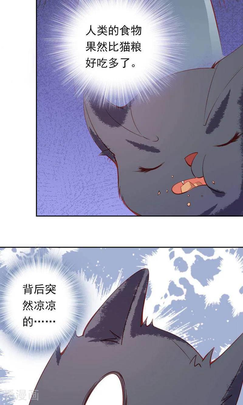 第34话-以猫的名义爱上你-咪咕数媒（第14张）
