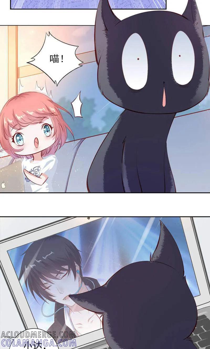 第34话-以猫的名义爱上你-咪咕数媒（第7张）