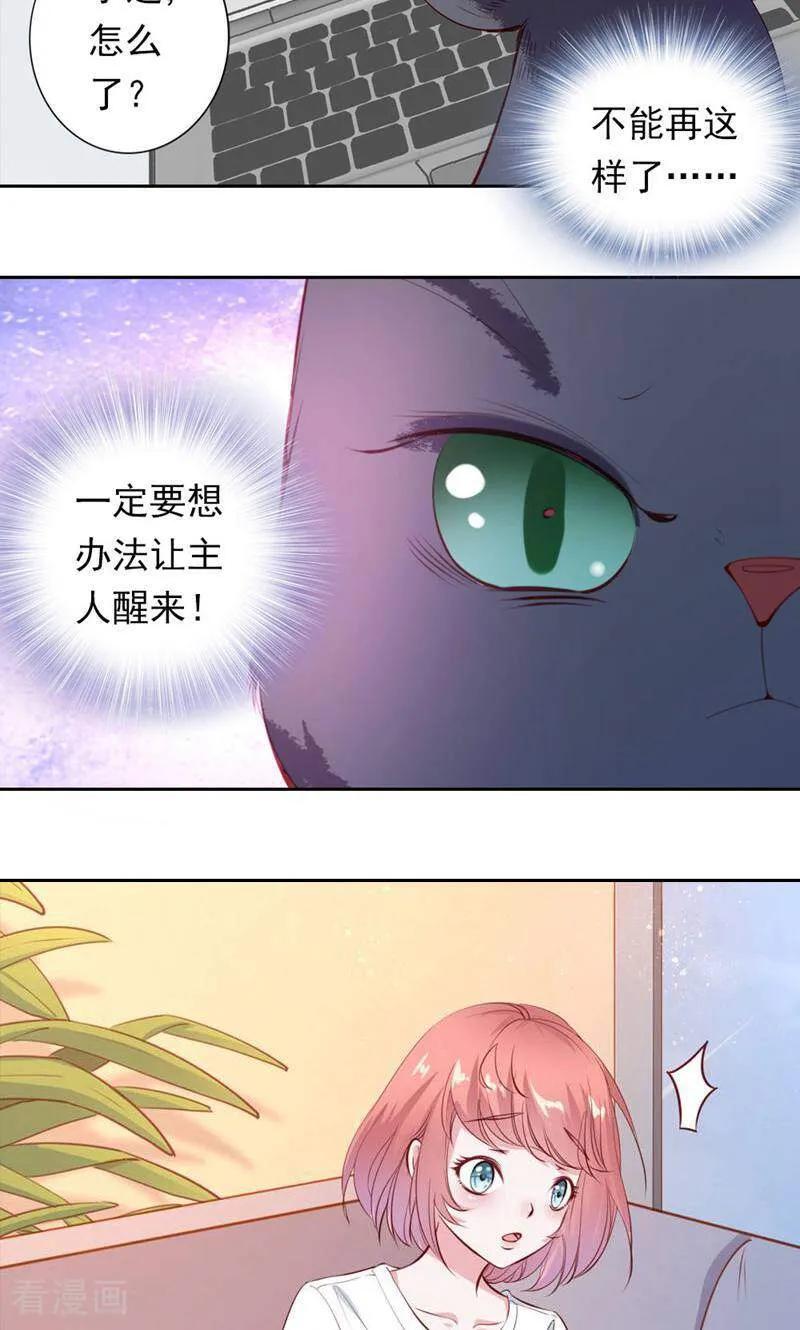 第34话-以猫的名义爱上你-咪咕数媒（第8张）