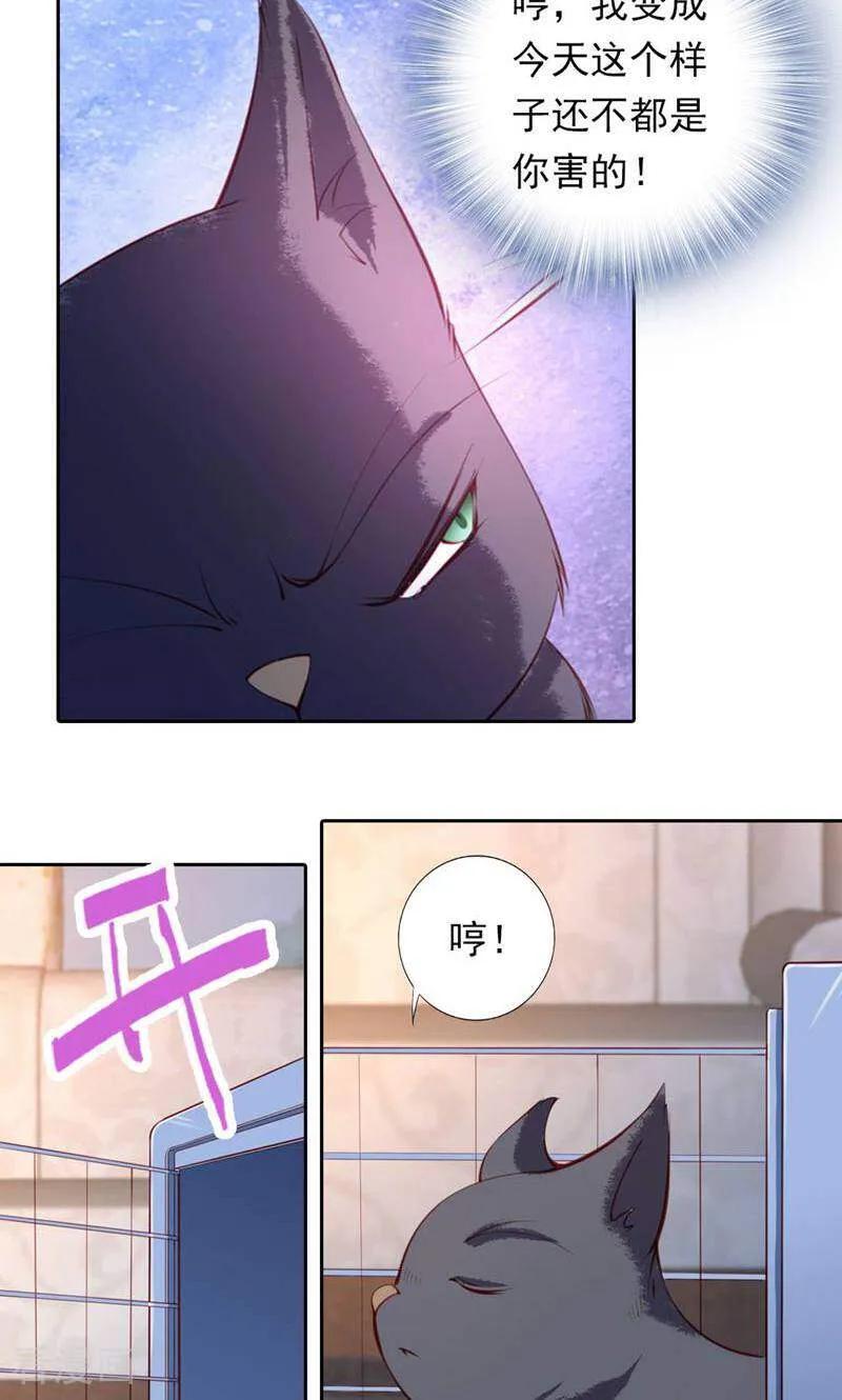 第37话-以猫的名义爱上你-咪咕数媒（第12张）