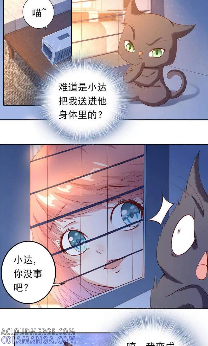 第37话-以猫的名义爱上你-咪咕数媒（第11张）
