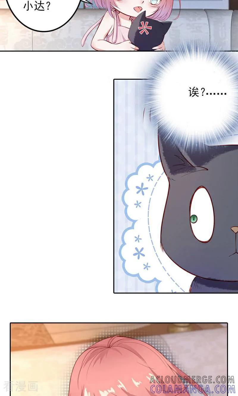 第37话-以猫的名义爱上你-咪咕数媒（第15张）