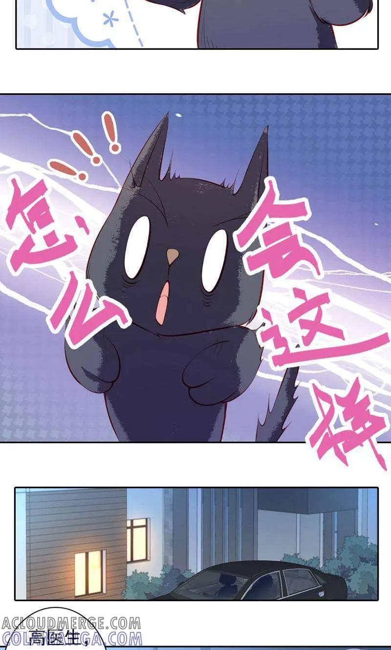 第37话-以猫的名义爱上你-咪咕数媒（第5张）