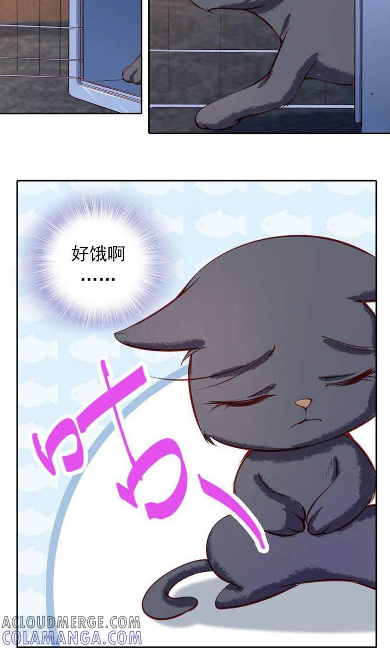 第37话-以猫的名义爱上你-咪咕数媒（第13张）