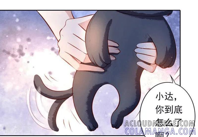 第37话-以猫的名义爱上你-咪咕数媒（第17张）