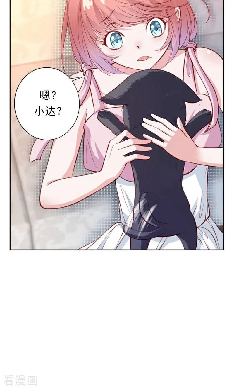 第37话-以猫的名义爱上你-咪咕数媒（第16张）
