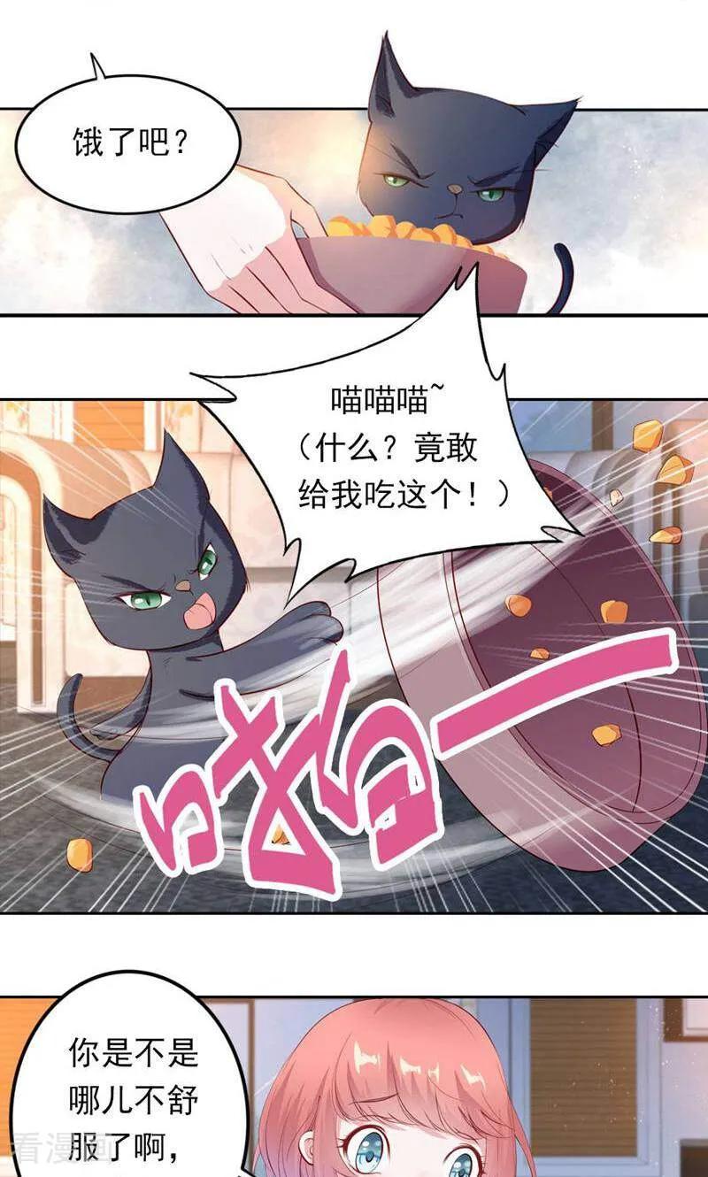 第37话-以猫的名义爱上你-咪咕数媒（第14张）