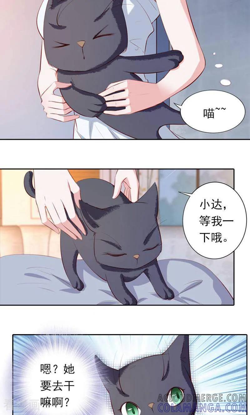 第38话-以猫的名义爱上你-咪咕数媒（第9张）