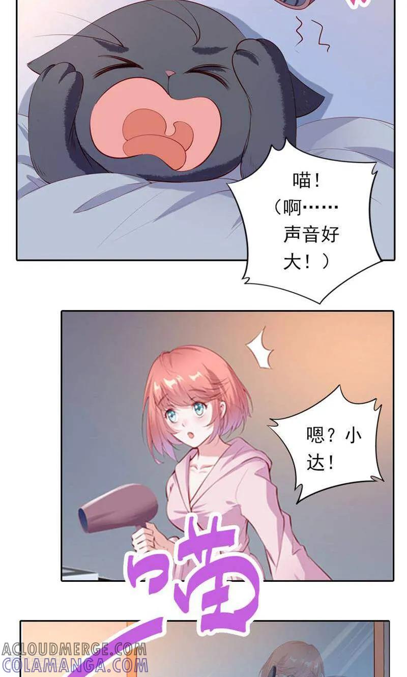 第38话-以猫的名义爱上你-咪咕数媒（第13张）