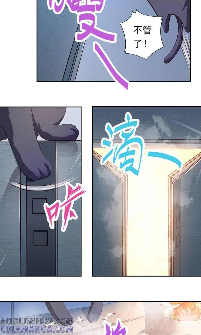 第39话-以猫的名义爱上你-咪咕数媒（第3张）