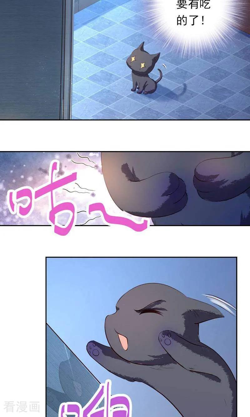 第39话-以猫的名义爱上你-咪咕数媒（第2张）
