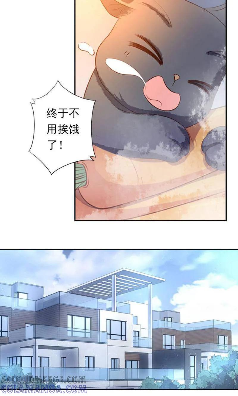 第39话-以猫的名义爱上你-咪咕数媒（第5张）
