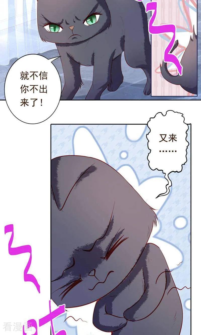 第40话-以猫的名义爱上你-咪咕数媒（第8张）
